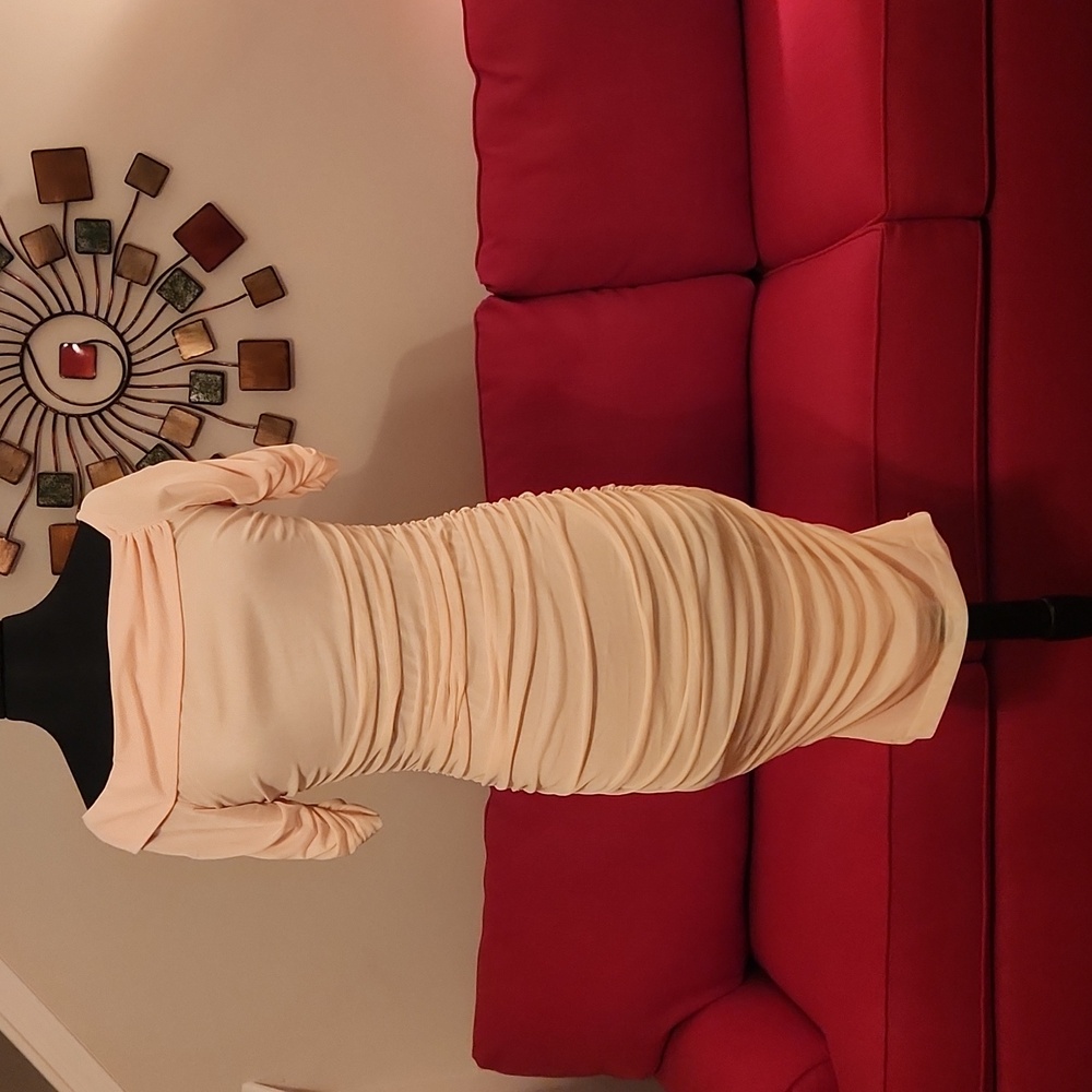 Venus / Fitted Dress